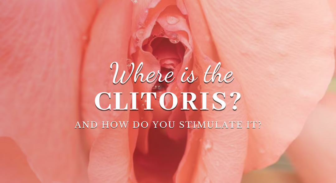 Where is the Clit?