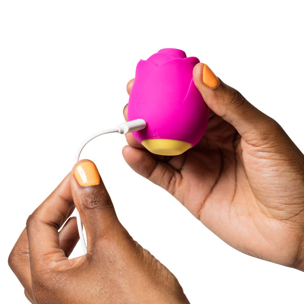 Romp Rose Pleasure Air™