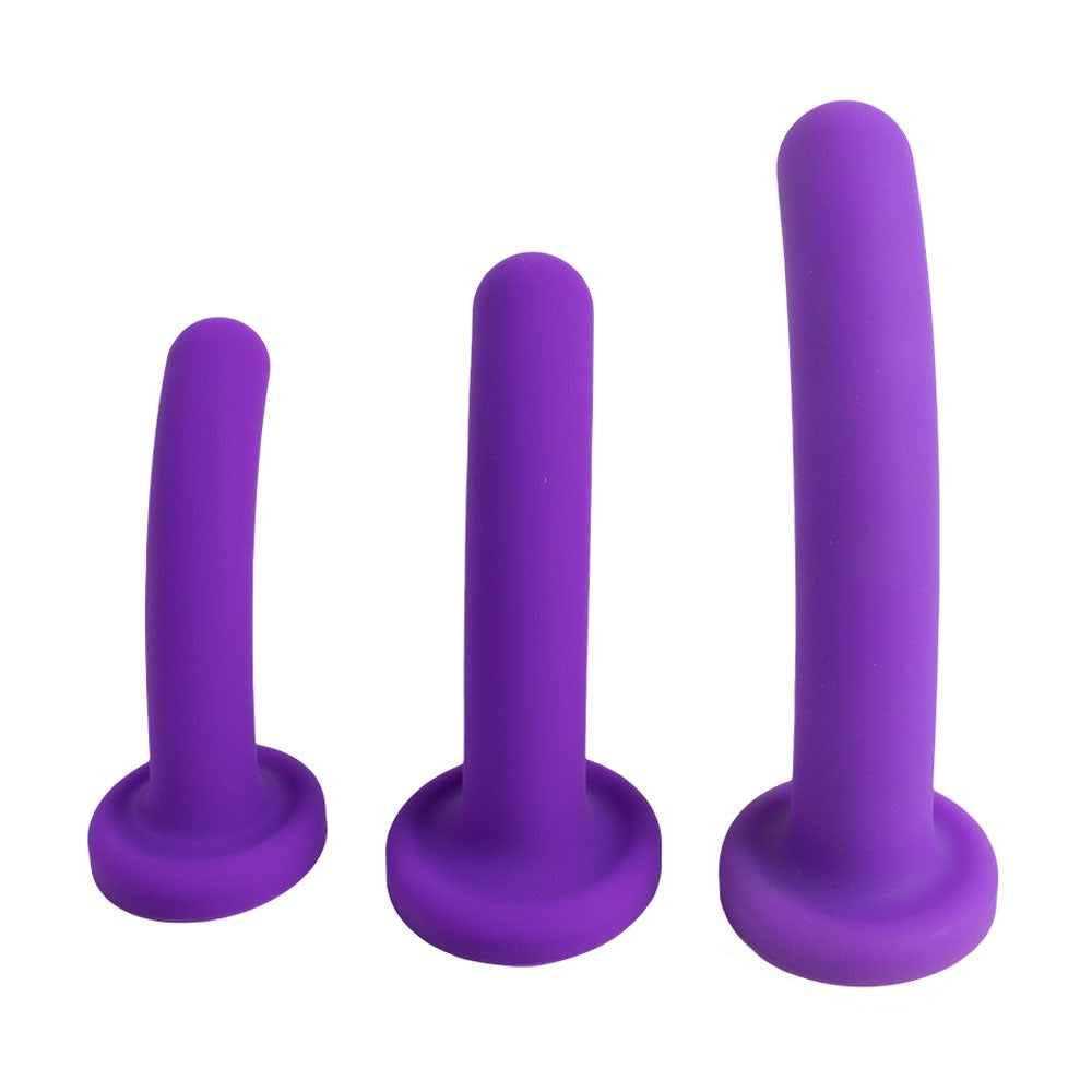 Topped Liquid Silicone Curved Dildo - Purple