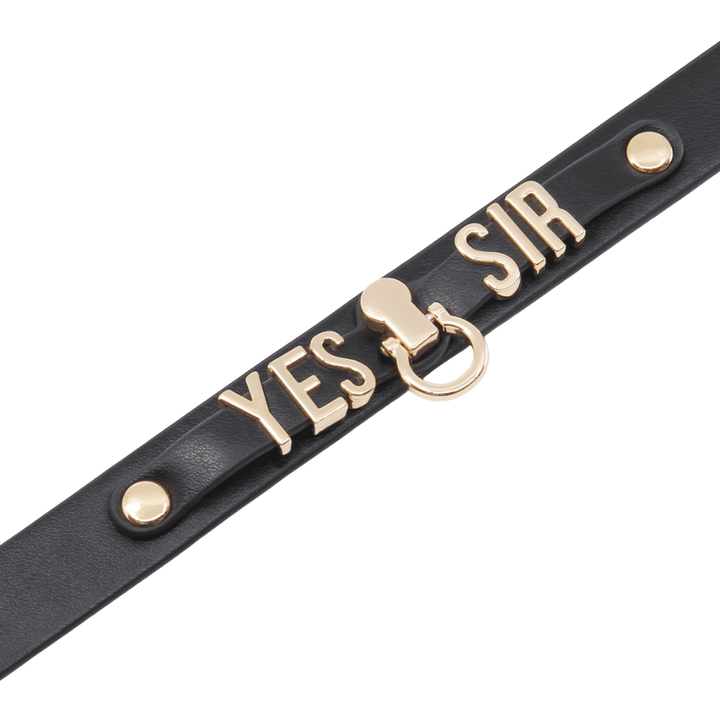 Love In Leather Yes Sir Faux Leather Collar