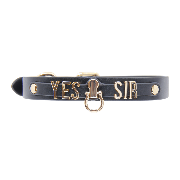 Love In Leather Yes Sir Faux Leather Collar