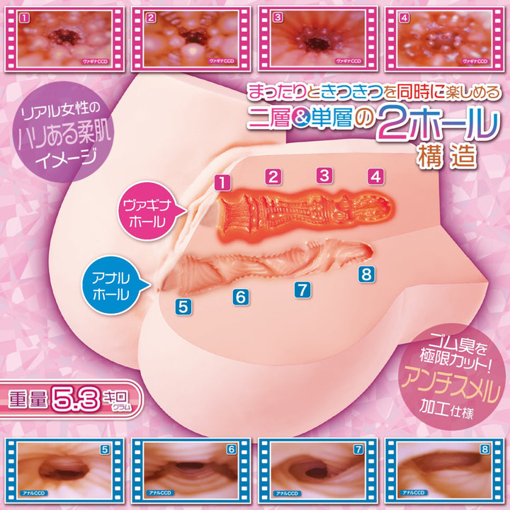 Maccos Chillmania of Paradise