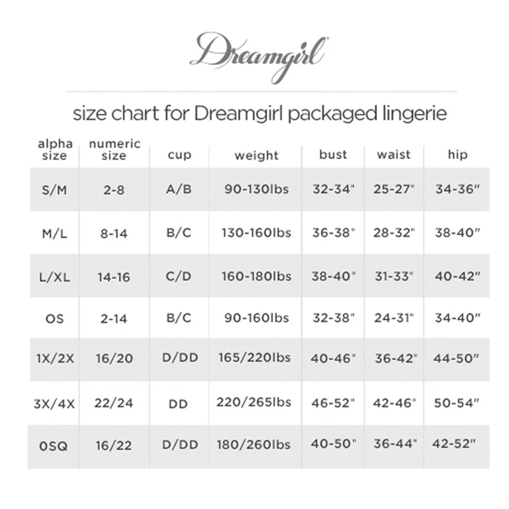 Dreamgirl Bodystocking Black 0310X
