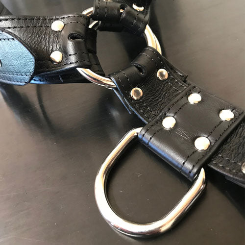 S(A)X Bulldog Harness Nappa Leather