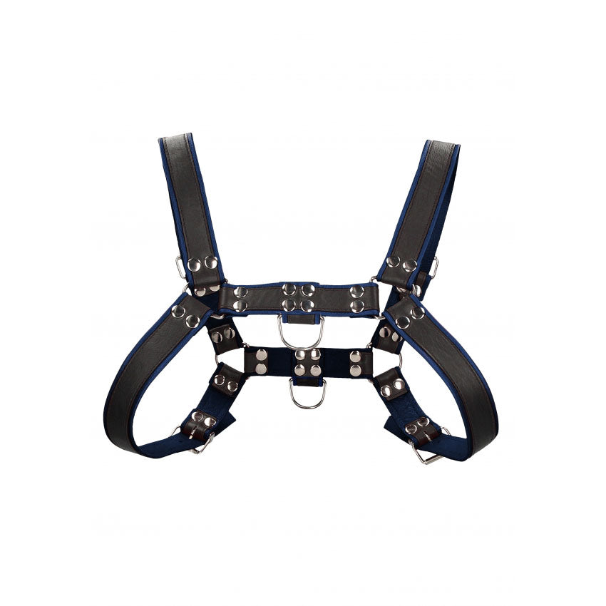 Shots UOMO Leather Men's Bulldog Harness S/M - Black - Blue