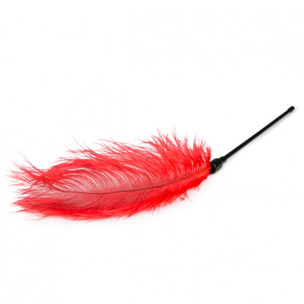 Easy Toys Feather Tickler - Red