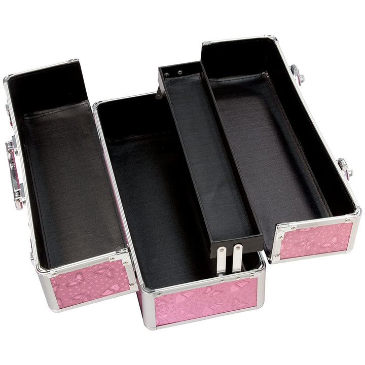 BMS The Toy Chest: Sex Toy Storage Case Large - Pink